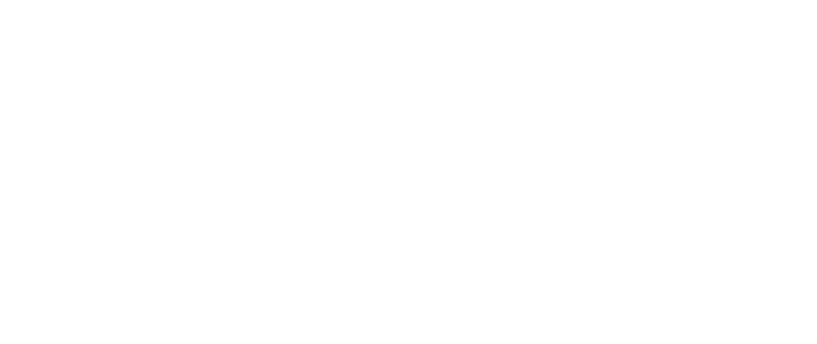 Zara-white-loho