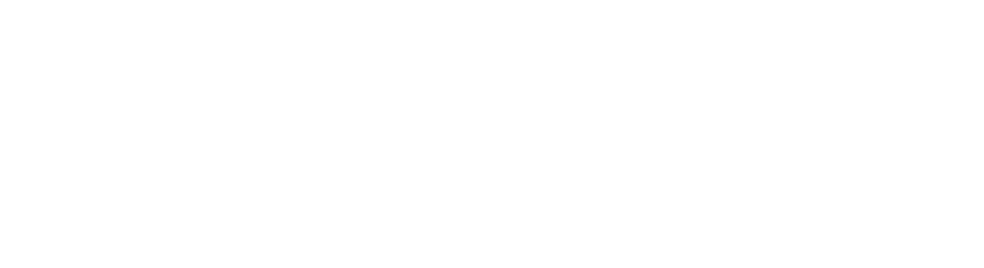 bershka-logo-white-login